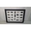 Image 1 : Framed Collection Of (19) Arrowheads