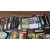 Image 7 : Large Assortment Of Magic The Gathering Cards Including Signed, Holos & Common Cards