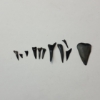 Image 1 : Lot of Assorted Shark Teeth and Arrowhead