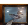 Image 3 : Duck Lovers Group - 7 Pcs Various Items - As Shown - See Pics