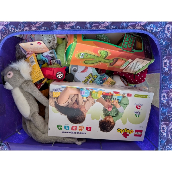 New Zippered Soft Tote Full Of Brand New Toys & More