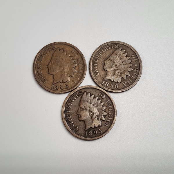 Three United States Indian Head Cents: 1896, 1896, 1895