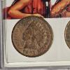 Image 2 : Three Little Indians Indian Head Cents Coin Set