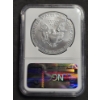Image 2 : NGC MS69 2011 25th Anniversary American Silver Eagle