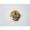 Image 4 : Gorgeous 14K Yellow Gold Pin with Black Center Stone - Pin Weight: 2.2g
