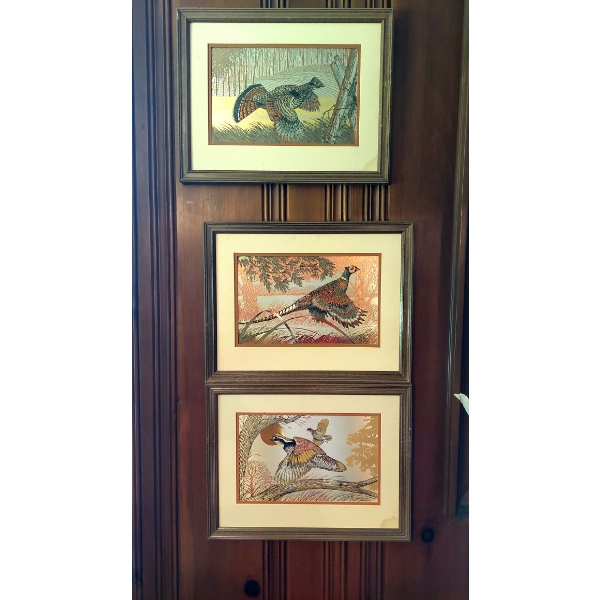 Set Of 3 -  Foiled Game Bird Prints - Pheasant - Partridge  & Grouse - Nicely Framed