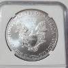 Image 4 : NGC Graded MS69 2009 American Silver Eagle 1 oz .999 Fine Silver 