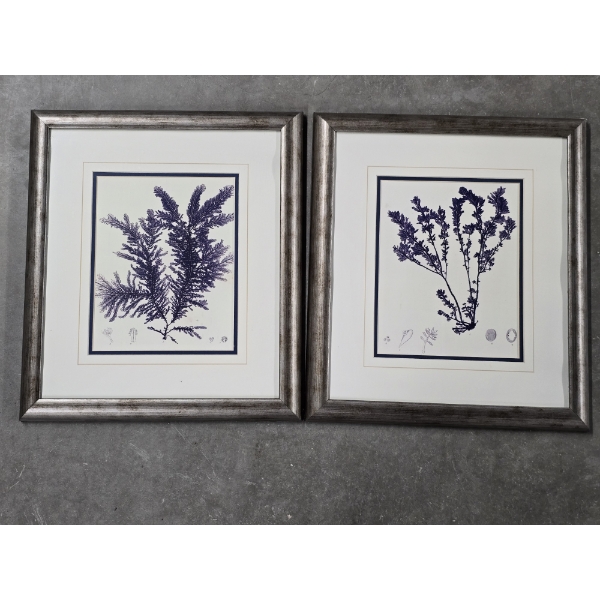 Set of 2 Botanical Prints - Blue in Color - 15"x17" Each