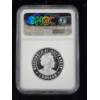 Image 6 : NGC PF70 Ultra Cameo 2019-P Australia Wedge-Tailed Eagle 1 Oz .9999 Fine Silver High Relief Coin 