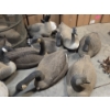 Image 3 : 13 Floating Life Size Plastic Canada Goose Decoys, Weights & Storage Bags 