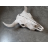 Image 3 : Real 22'' Bull Skull 