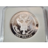 Image 4 : IGS PR-70 DCAM 2008-P $1 Bald Eagle FDOI Commemorative Silver Coin