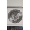 Image 4 : NGC 2013-W MS 70 First Releases 1 Troy Ounce .999 Fine Silver American Eagle
