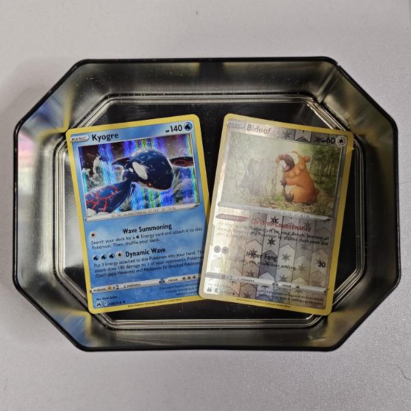 Kyogre (036/159) And Bidoof (111/159) Pokémon Cards Inside of A Metal Collector's Tin