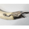 Image 3 : Collectible 7" Horn/Tusk With Sterling Silver Accents