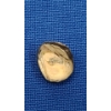 Image 2 : Higher Karat Gold Crown - Weight: 3.4g
