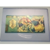 Image 1 : RARE 1996 Pokémon 999999 Gold Foil Note - Blastoise - Mint Condition in Protective Holder           