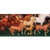 Image 2 : Large Lot (last Minute Discovery ) Collectible All Sizes Horse Lovers Lot IN Very Big Tub