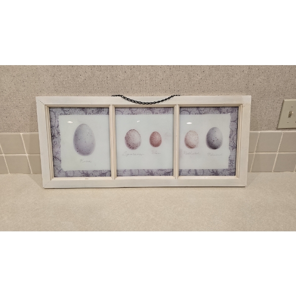 Bird's Egg Wall Art - 30.5x13.5