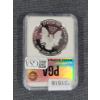 Image 2 : PGA MS70 DCAM 2013-W 1 Oz Silver American Eagle 