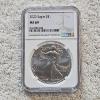 Image 1 : NGC MS69 Graded 2023 .999 Fine Silver 1oz. Eagle