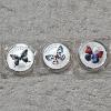 Image 1 : Three Colorized Collector Medals from the Chen Baocai World Wildlife Butterfly Series