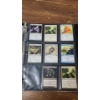 Image 8 : 
Large Assortment Of Magic The Gathering Cards Including Signed, Holos & Common Cards