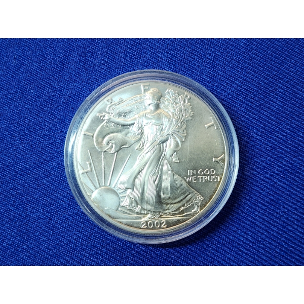 2002 Silver $1 American Eagle 1 Ounce Fine Silver Coin - in Protective Case