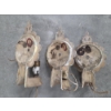 Image 5 : Three Gorgeous Matching Cast Iron Electric Light Wall Sconces 