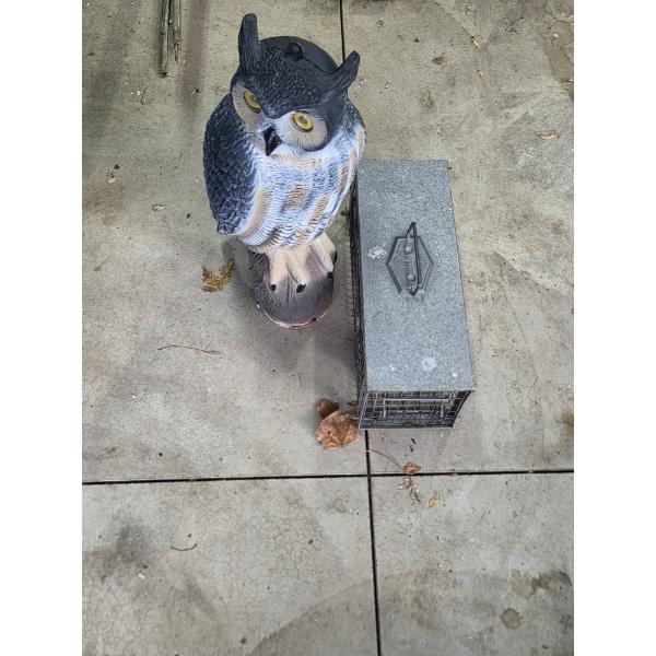PICKUP IN CANTON - Life Size Owl Decoy And Small Aluminum Pest Trap 