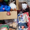 Image 2 : HUGE Assortment of Collectible Plushies & Beanie Babies Including Garfield & Sacagawea TY 