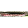 Image 1 : Coca-Cola 16' Canoe