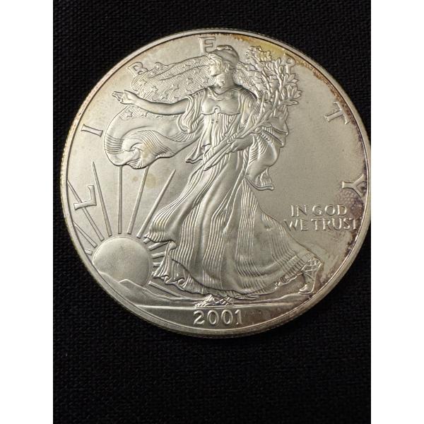2001 United States American Silver Eagle .999 Fine Silver Troy Ounce Coin - Mint Condition