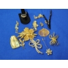 Image 9 : Assorted Gold-Tone Costume Jewelry: Rings, Pins, Pendant