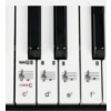 Image 5 : Brand New Rock Jam 61 Key Keyboard Piano w / Pitch Bend Kit, Keyboard Stand Piano Bench & Headphones