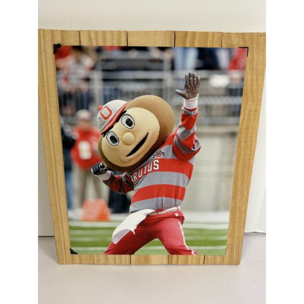 Ohio State Brutus picture on Wooden Plaque with Hanging String