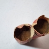 Image 3 : Two Rolls of 1937 United States Wheat Cents - Face Value: ~$1.00