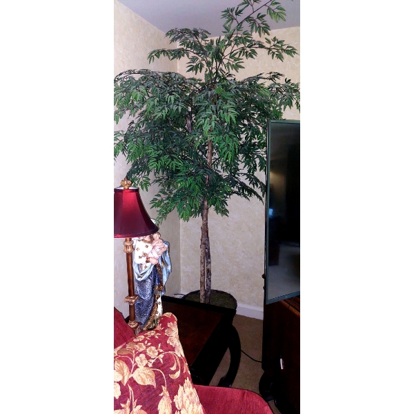 5 Ft Ficus Tree As Shown In Excellent Condition