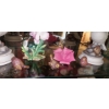 Image 4 : Large Group of Porcelain / Ceramic Figurines - "Andrea" "Capodimonte" - Ltd Ed Humming Bird -See Pic