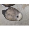 Image 4 : Eight Life Size Upright Geese Shell Decoys 