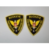 Image 1 : Two Buckeye Protective Service INC. Patches in Great Condition