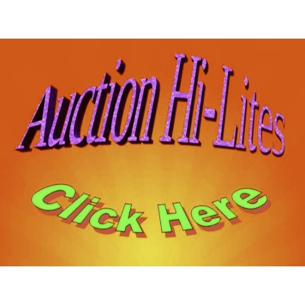 Information Only - Preswick Country Club Home Auction Sample Pictures & Auction Introduction