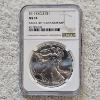 Image 1 : NGC MS69 Graded 2016 .999 Fine Silver 1oz. Eagle