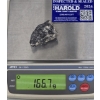Image 6 : Rare Polymict Eucrite Meteorite (2.25" x 1.25" x 1.25") 166.7g - Sahara Desert