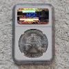 Image 2 : NGC MS69 Graded 2012 .999 Fine Silver 1oz. Eagle