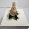 Image 6 : IMMACULATE!!! The Lenox Garden Bird Collection Fine Porcelain Figurine Set - Six Figures! (see pics)
