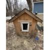 Image 6 : Chicken Coop & Fencing 