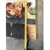 Image 2 : Cow Wall Hanging Photos in Frames - Adorable! - 16x24" & 16x32"