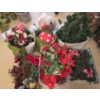 Image 1 : 6 Containers of Christmas Decor incl Long Garlands, Ornaments and More