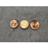 Image 6 : Full Tube of Mint State Uncirculated 1953-D Copper Wheat Pennies - Incredible Coins!